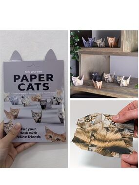 NIP Origami Paper Cats Kit